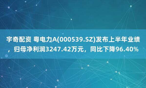 宇奇配资 粤电力A(000539.SZ)发布上半年业绩，归母净利润3247.42万元，同比下降96.40%