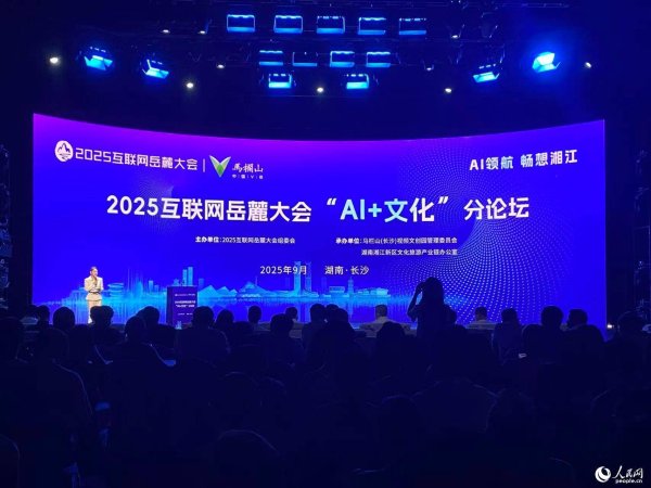 杨方策略 2025互联网岳麓大会“AI+文化”分论坛在马栏山举行